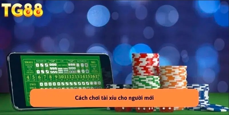 Cách Chơi Tài Xỉu cho người mới