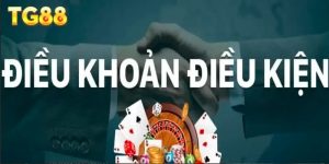 Khái quát về chăm sóc khách hàng của nhà cái