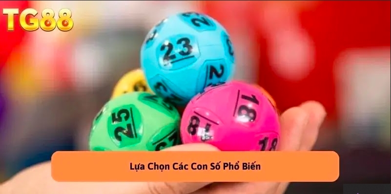 Lựa chọn loại phổ biến nhất